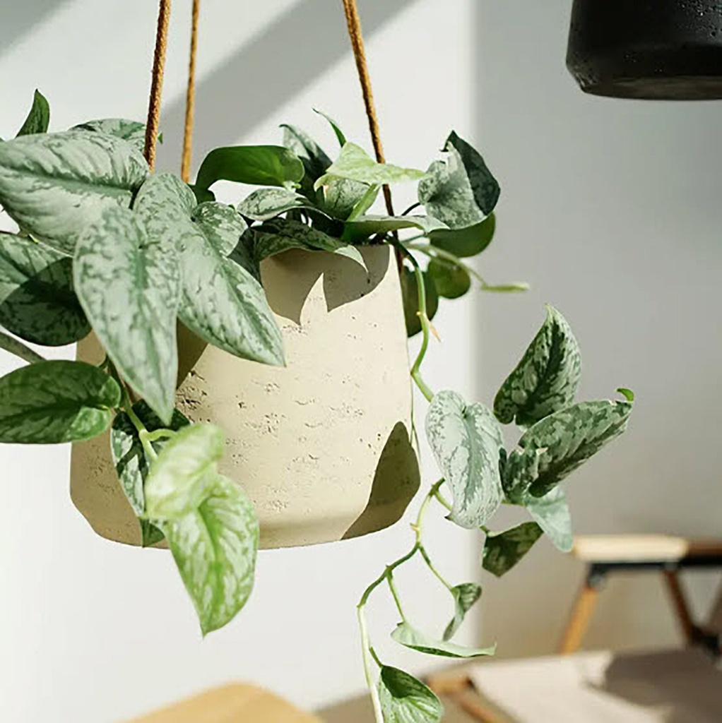 Maceta colgante grande color beige