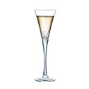 Copa champagne V 150ML Set x 6