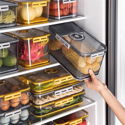 [DT2321] Organizador hermetico 30*16*11cm